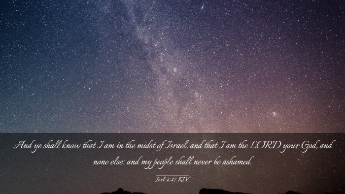 Picture 03 - Joel 2:27 KJV Desktop Wallpaper - And ye shall know that I am in the midst of - Desktop Bible Verse Wallpaper