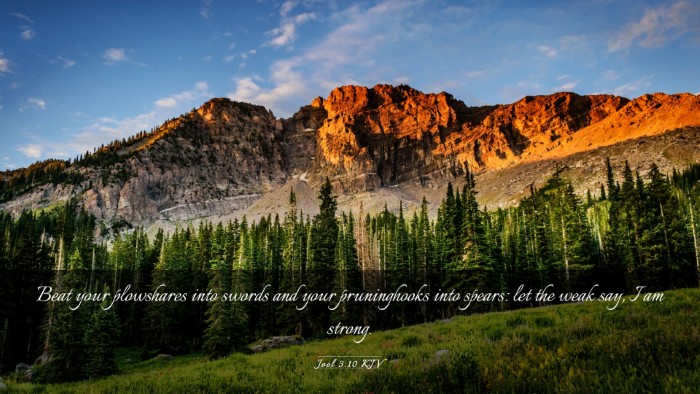 Picture 03 - Joel 3:10 KJV Desktop Wallpaper - Beat your plowshares into swords and your - Desktop Bible Verse Wallpaper