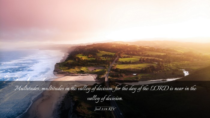 Picture 03 - Joel 3:14 KJV Desktop Wallpaper - Multitudes, multitudes in the valley of decision: - Desktop Bible Verse Wallpaper
