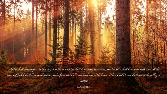 Picture 03 - Joel 3:18 KJV Desktop Wallpaper - And it shall come to pass in that day, that the - Desktop Bible Verse Wallpaper