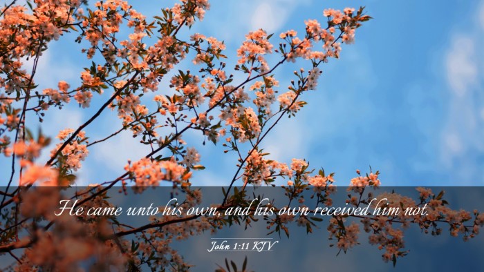 Picture 03 - John 1:11 KJV Desktop Wallpaper - He came unto his own, and his own received him - Desktop Bible Verse Wallpaper