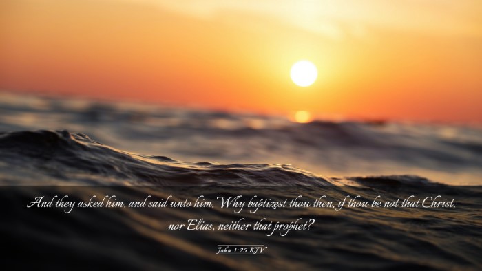 Picture 03 - John 1:25 KJV Desktop Wallpaper - And they asked him, and said unto him, Why - Desktop Bible Verse Wallpaper