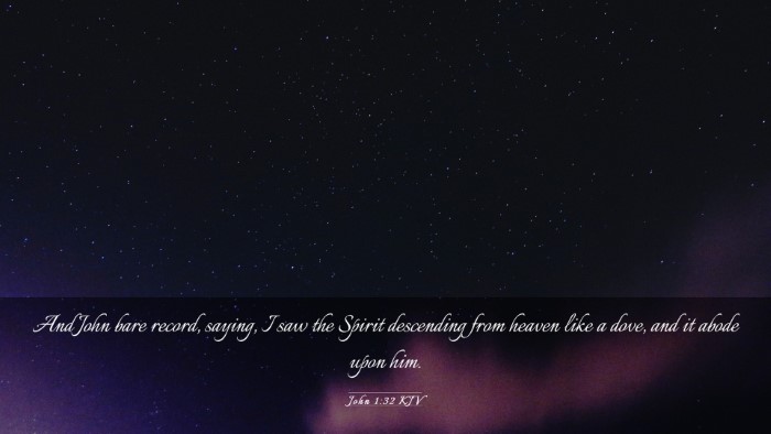 Picture 03 - John 1:32 KJV Desktop Wallpaper - And John bare record, saying, I saw the Spirit - Desktop Bible Verse Wallpaper