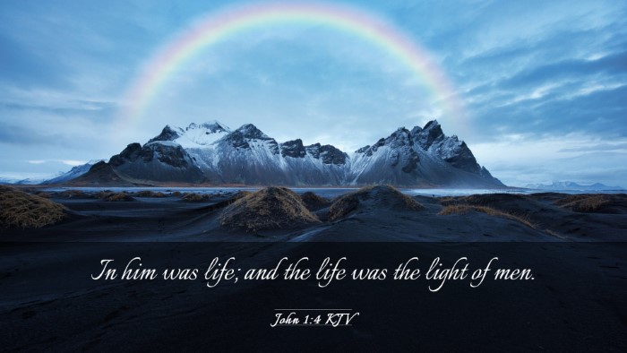 Picture 03 - John 1:4 KJV Desktop Wallpaper - In him was life; and the life was the light of - Desktop Bible Verse Wallpaper