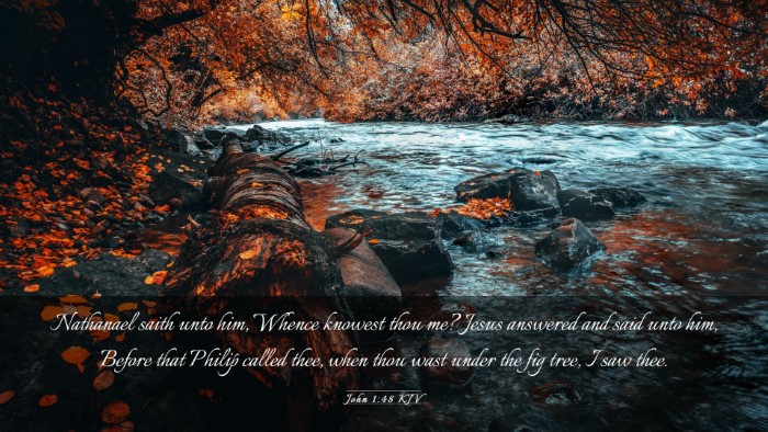 Picture 03 - John 1:48 KJV Desktop Wallpaper - Nathanael saith unto him, Whence knowest thou me? - Desktop Bible Verse Wallpaper