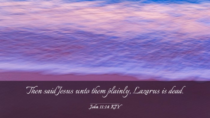 Picture 03 - John 11:14 KJV Desktop Wallpaper - Then said Jesus unto them plainly, Lazarus is - Desktop Bible Verse Wallpaper