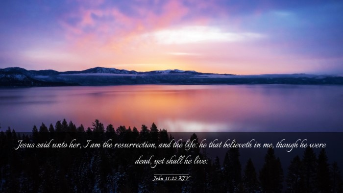 Picture 03 - John 11:25 KJV Desktop Wallpaper - Jesus said unto her, I am the resurrection, and - Desktop Bible Verse Wallpaper