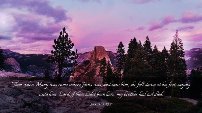 Picture 03 - John 11:32 KJV Desktop Wallpaper - Then when Mary was come where Jesus was, and saw - Desktop Bible Verse Wallpaper
