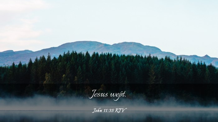 Picture 03 - John 11:35 KJV Desktop Wallpaper - Jesus - Desktop Bible Verse Wallpaper
