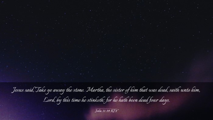 Picture 03 - John 11:39 KJV Desktop Wallpaper - Jesus said, Take ye away the stone. Martha, the - Desktop Bible Verse Wallpaper