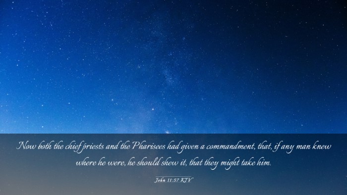 Picture 03 - John 11:57 KJV Desktop Wallpaper - Now both the chief priests and the Pharisees had - Desktop Bible Verse Wallpaper