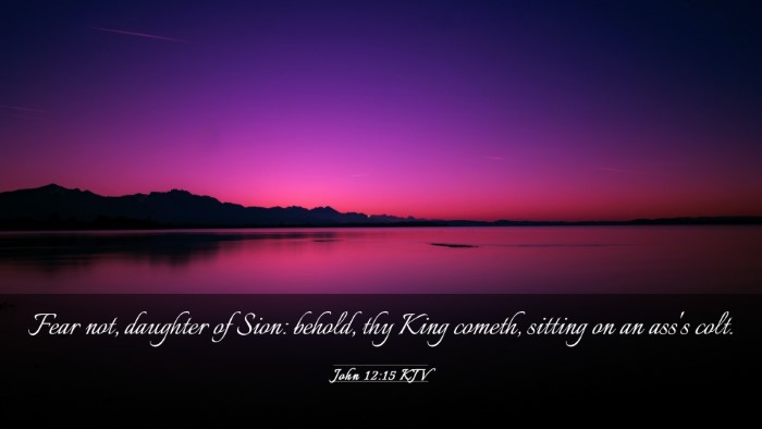 Picture 03 - John 12:15 KJV Desktop Wallpaper - Fear not, daughter of Sion: behold, thy King - Desktop Bible Verse Wallpaper