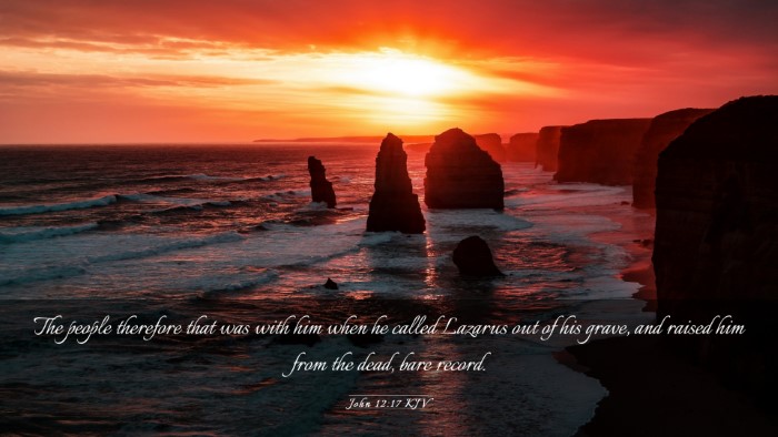 Picture 03 - John 12:17 KJV Desktop Wallpaper - The people therefore that was with him when he - Desktop Bible Verse Wallpaper