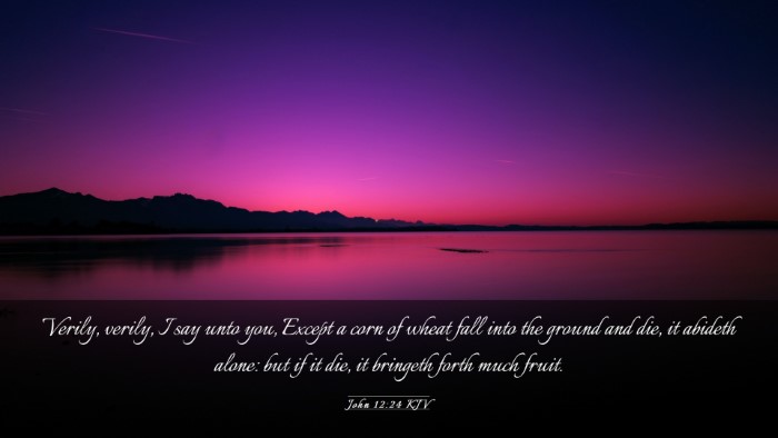 Picture 03 - John 12:24 KJV Desktop Wallpaper - Verily, verily, I say unto you, Except a corn of - Desktop Bible Verse Wallpaper