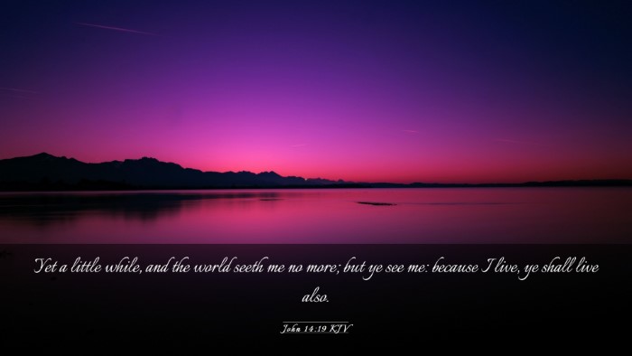 Picture 03 - John 14:19 KJV Desktop Wallpaper - Yet a little while, and the world seeth me no - Desktop Bible Verse Wallpaper