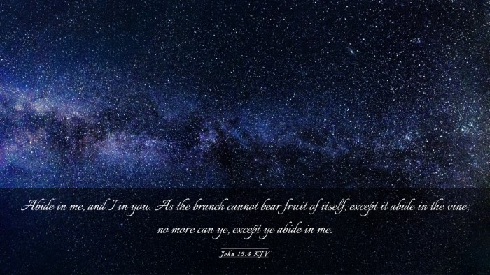 Picture 03 - John 15:4 KJV Desktop Wallpaper - Abide in me, and I in you. As the branch cannot - Desktop Bible Verse Wallpaper