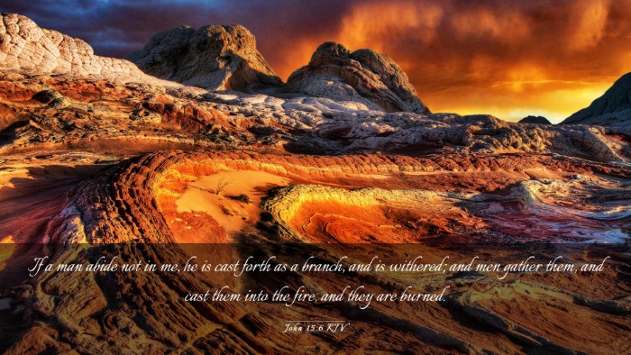 Picture 03 - John 15:6 KJV Desktop Wallpaper - If a man abide not in me, he is cast forth as a - Desktop Bible Verse Wallpaper