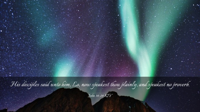 Picture 03 - John 16:29 KJV Desktop Wallpaper - His disciples said unto him, Lo, now speakest - Desktop Bible Verse Wallpaper