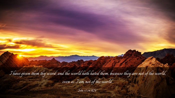Picture 03 - John 17:14 KJV Desktop Wallpaper - I have given them thy word; and the world hath - Desktop Bible Verse Wallpaper
