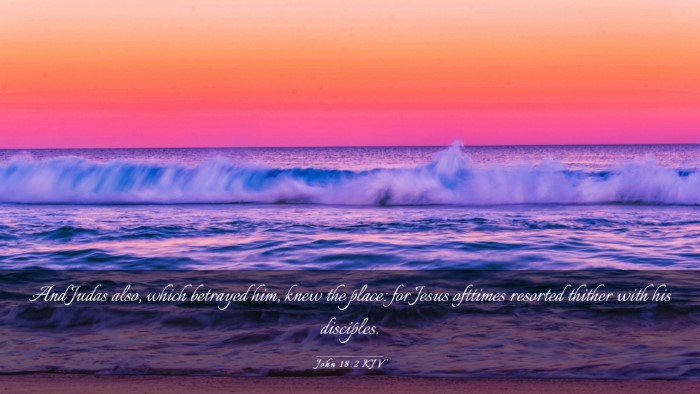 Picture 03 - John 18:2 KJV Desktop Wallpaper - And Judas also, which betrayed him, knew the - Desktop Bible Verse Wallpaper