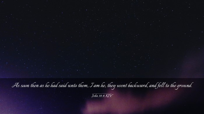 Picture 03 - John 18:6 KJV Desktop Wallpaper - As soon then as he had said unto them, I am he, - Desktop Bible Verse Wallpaper