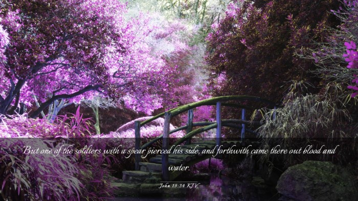 Picture 03 - John 19:34 KJV Desktop Wallpaper - But one of the soldiers with a spear pierced his - Desktop Bible Verse Wallpaper
