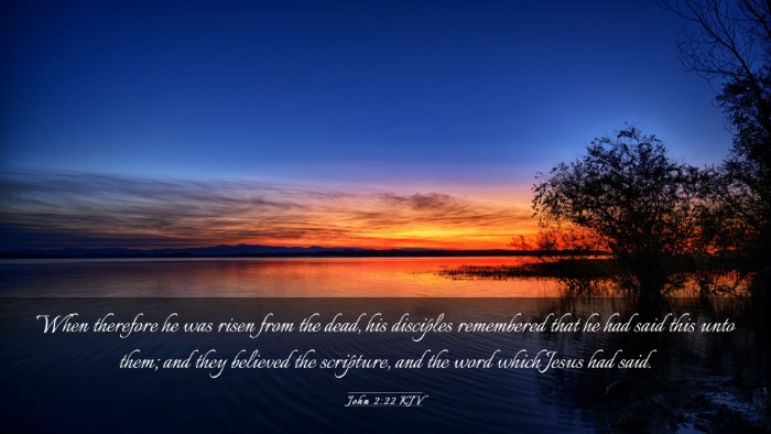Picture 03 - John 2:22 KJV Desktop Wallpaper - When therefore he was risen from the dead, his - Desktop Bible Verse Wallpaper