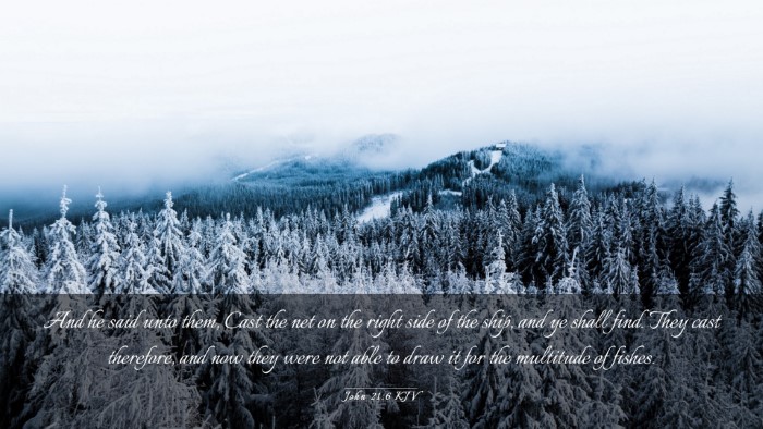 Picture 03 - John 21:6 KJV Desktop Wallpaper - And he said unto them, Cast the net on the right - Desktop Bible Verse Wallpaper