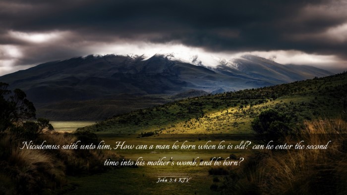 Picture 03 - John 3:4 KJV Desktop Wallpaper - Nicodemus saith unto him, How can a man be born - Desktop Bible Verse Wallpaper