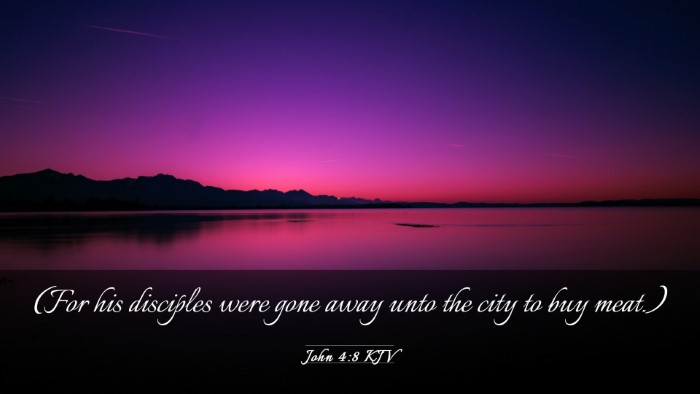 Picture 03 - John 4:8 KJV Desktop Wallpaper - (For his disciples were gone away unto the city - Desktop Bible Verse Wallpaper