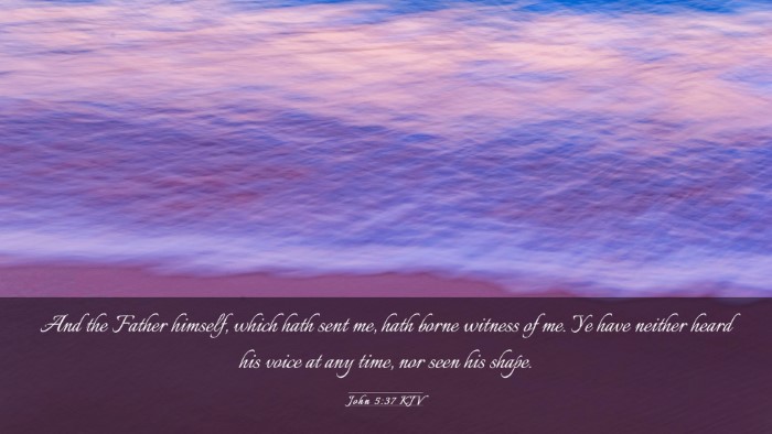 Picture 03 - John 5:37 KJV Desktop Wallpaper - And the Father himself, which hath sent me, hath - Desktop Bible Verse Wallpaper