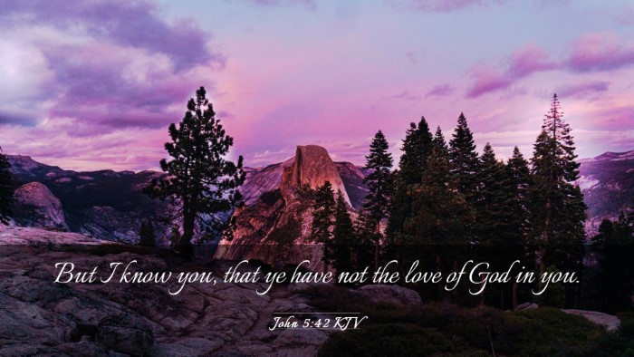 Picture 03 - John 5:42 KJV Desktop Wallpaper - But I know you, that ye have not the love of God - Desktop Bible Verse Wallpaper