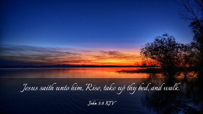 Picture 03 - John 5:8 KJV Desktop Wallpaper - Jesus saith unto him, Rise, take up thy bed, and - Desktop Bible Verse Wallpaper
