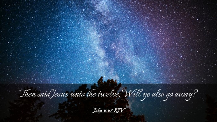 Picture 03 - John 6:67 KJV Desktop Wallpaper - Then said Jesus unto the twelve, Will ye also go - Desktop Bible Verse Wallpaper