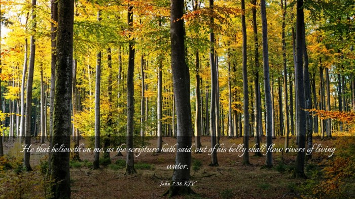 Picture 03 - John 7:38 KJV Desktop Wallpaper - He that believeth on me, as the scripture hath - Desktop Bible Verse Wallpaper
