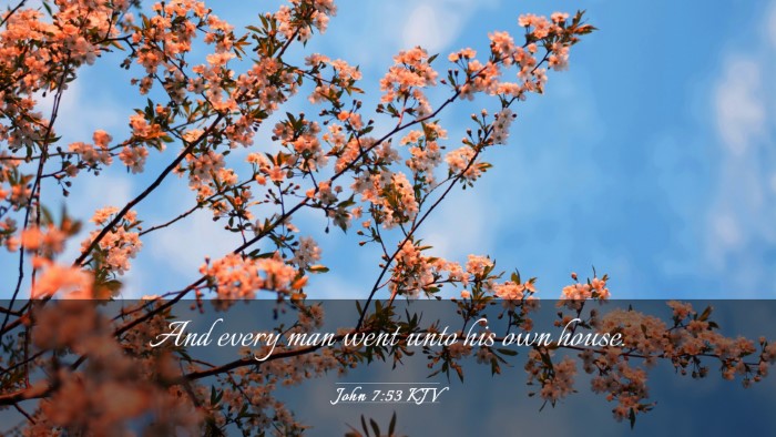 Picture 03 - John 7:53 KJV Desktop Wallpaper - And every man went unto his own - Desktop Bible Verse Wallpaper