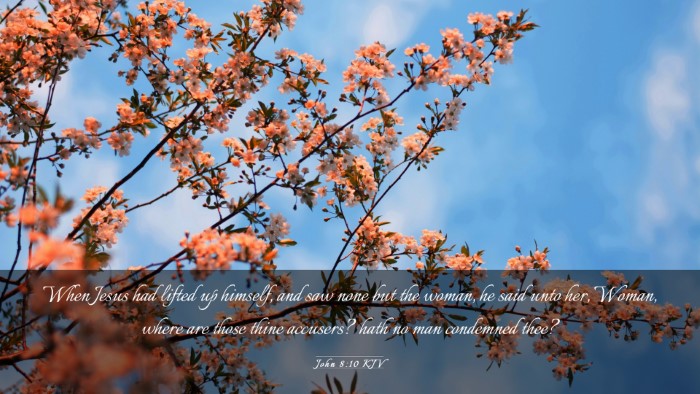 Picture 03 - John 8:10 KJV Desktop Wallpaper - When Jesus had lifted up himself, and saw none - Desktop Bible Verse Wallpaper