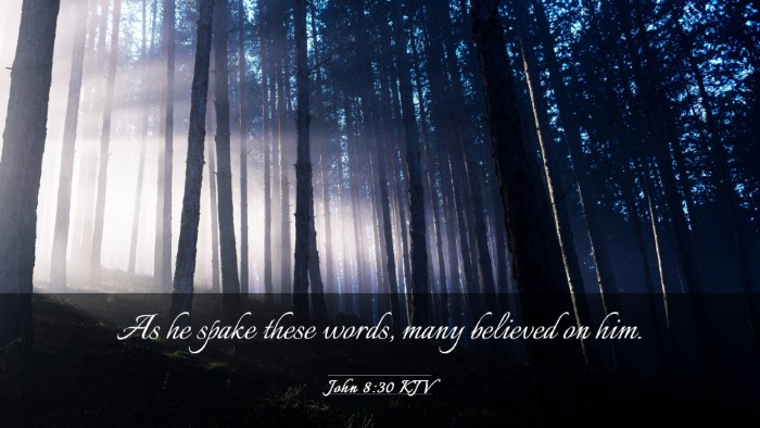 Picture 03 - John 8:30 KJV Desktop Wallpaper - As he spake these words, many believed on - Desktop Bible Verse Wallpaper