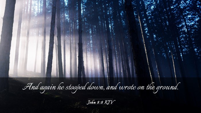 Picture 03 - John 8:8 KJV Desktop Wallpaper - And again he stooped down, and wrote on the - Desktop Bible Verse Wallpaper