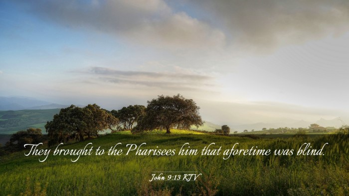Picture 03 - John 9:13 KJV Desktop Wallpaper - They brought to the Pharisees him that aforetime - Desktop Bible Verse Wallpaper