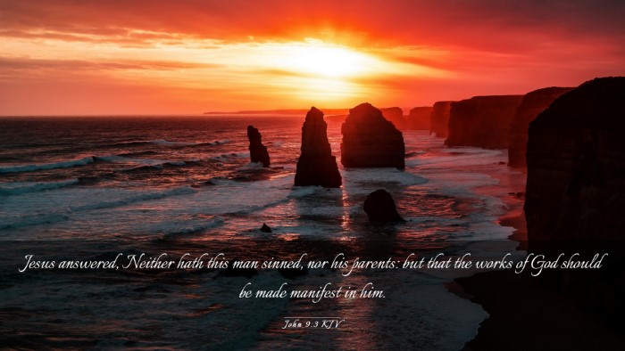 Picture 03 - John 9:3 KJV Desktop Wallpaper - Jesus answered, Neither hath this man sinned, nor - Desktop Bible Verse Wallpaper