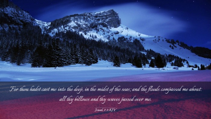 Picture 03 - Jonah 2:3 KJV Desktop Wallpaper - For thou hadst cast me into the deep, in the - Desktop Bible Verse Wallpaper