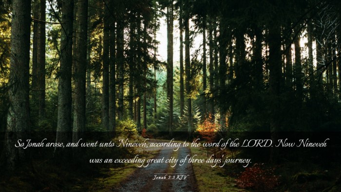Picture 03 - Jonah 3:3 KJV Desktop Wallpaper - So Jonah arose, and went unto Nineveh, according - Desktop Bible Verse Wallpaper