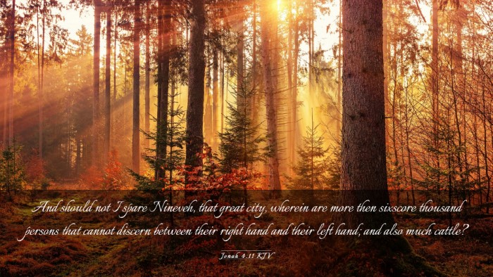 Picture 03 - Jonah 4:11 KJV Desktop Wallpaper - And should not I spare Nineveh, that great city, - Desktop Bible Verse Wallpaper