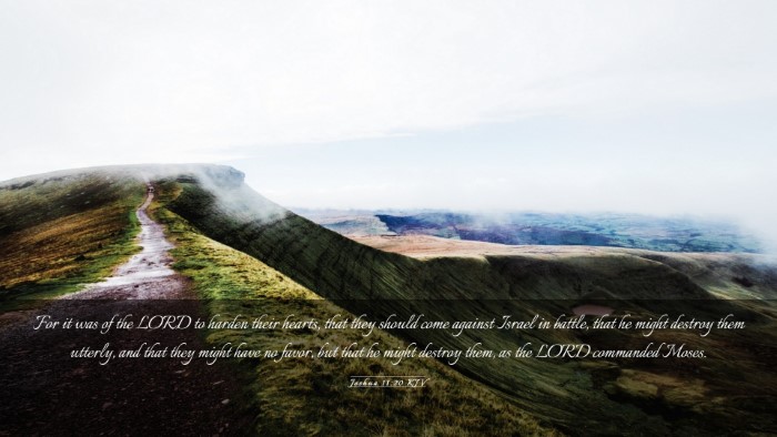 Picture 03 - Joshua 11:20 KJV Desktop Wallpaper - For it was of the LORD to harden their hearts, - Desktop Bible Verse Wallpaper