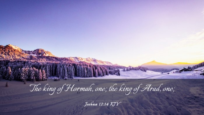 Picture 03 - Joshua 12:14 KJV Desktop Wallpaper - The king of Hormah, one; the king of Arad, - Desktop Bible Verse Wallpaper