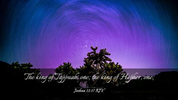 Picture 03 - Joshua 12:17 KJV Desktop Wallpaper - The king of Tappuah, one; the king of Hepher, - Desktop Bible Verse Wallpaper