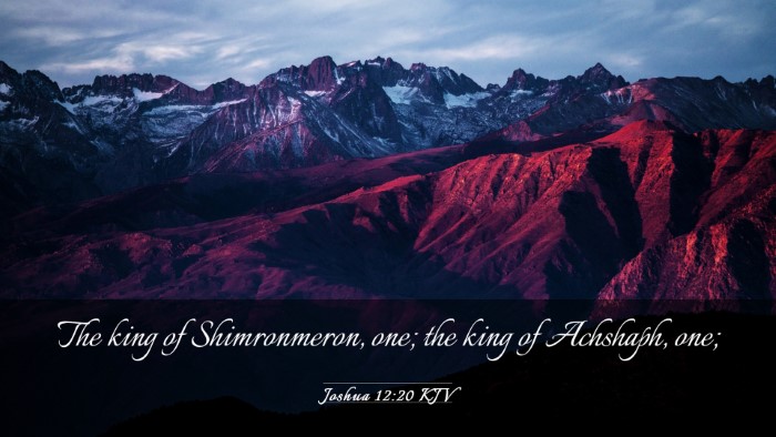 Picture 03 - Joshua 12:20 KJV Desktop Wallpaper - The king of Shimronmeron, one; the king of - Desktop Bible Verse Wallpaper