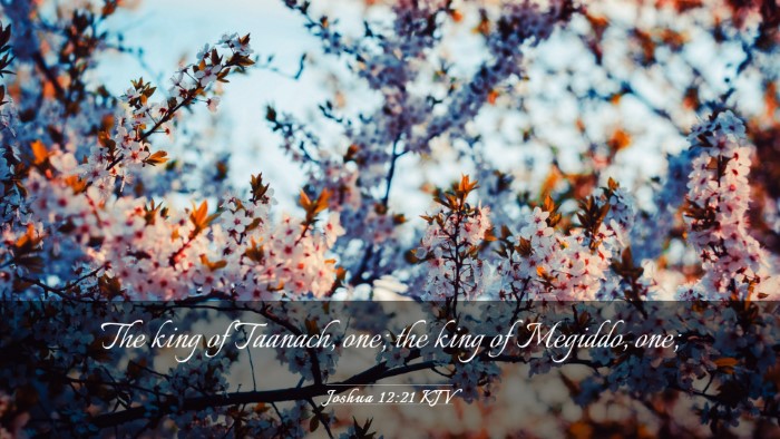 Picture 03 - Joshua 12:21 KJV Desktop Wallpaper - The king of Taanach, one; the king of Megiddo, - Desktop Bible Verse Wallpaper