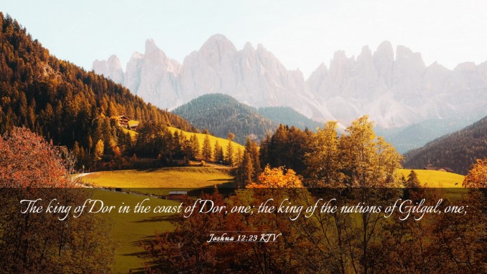Picture 03 - Joshua 12:23 KJV Desktop Wallpaper - The king of Dor in the coast of Dor, one; the - Desktop Bible Verse Wallpaper